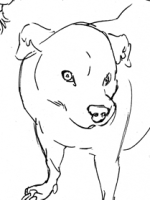 june dogs (ink, 2023)