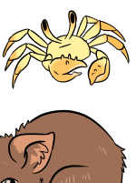 Western Australian animal stickersheet DO NOT STEAL